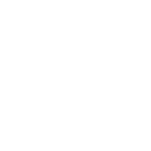 Viddy Awards