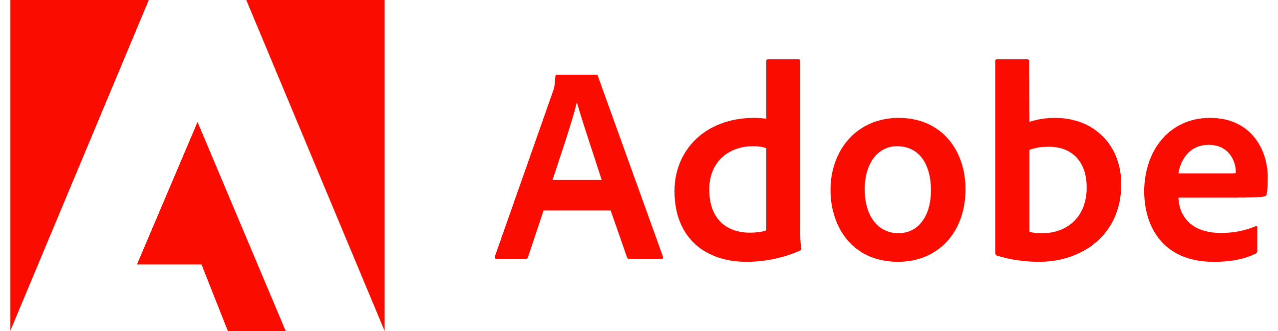 Adobe Partner Logo